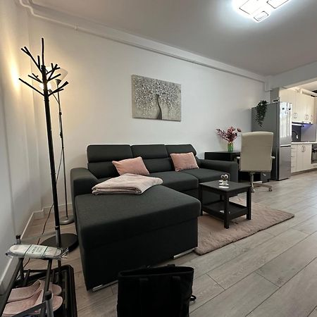 Angela Nordic Apartment. Suceava Exterior foto