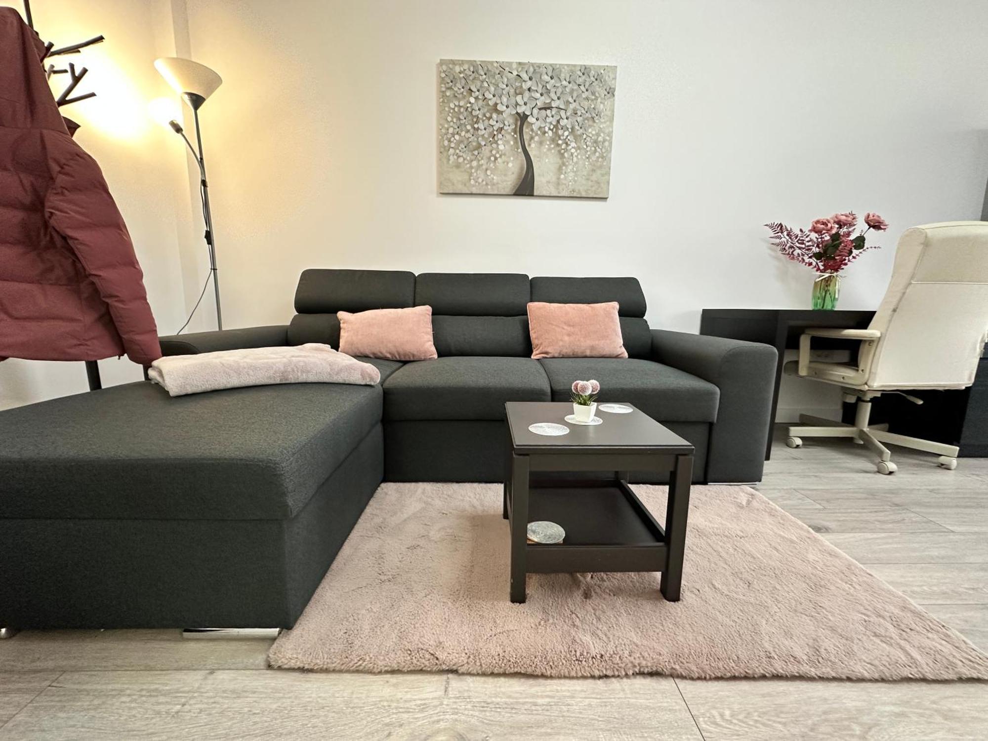 Angela Nordic Apartment. Suceava Exterior foto